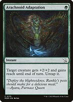 Arachnoid Adaptation image