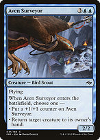 Aven Surveyor image