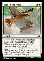 Eyes in the Skies image