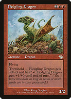 Fledgling Dragon image