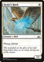Healer's Hawk image
