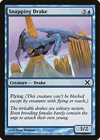 Snapping Drake image