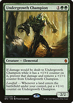 Undergrowth Champion image