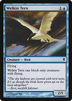Welkin Tern image